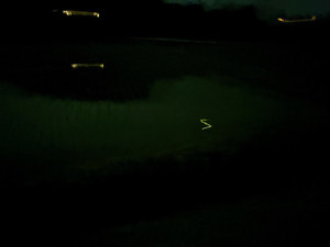 Img_9590_2
