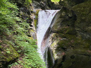 Img_2962
