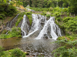 Img_2979_2