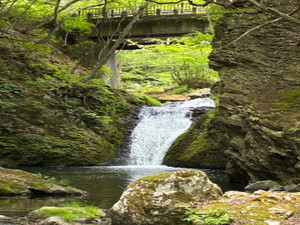 Img_2985_2