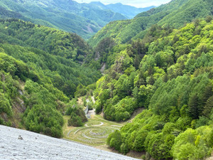 Img_2991_3